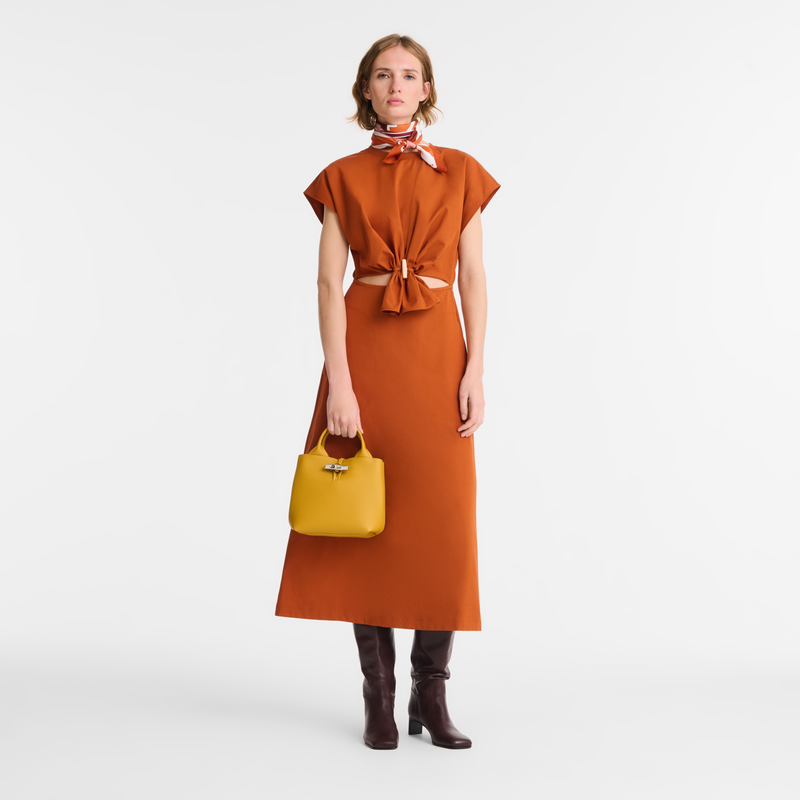 Le Roseau S Handbag