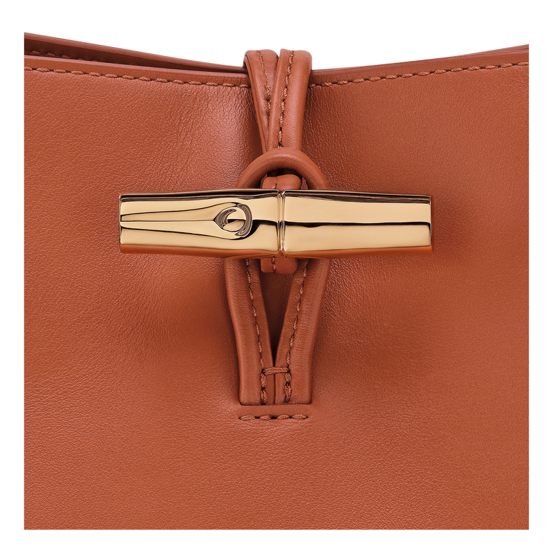 Le Roseau M Hobo bag