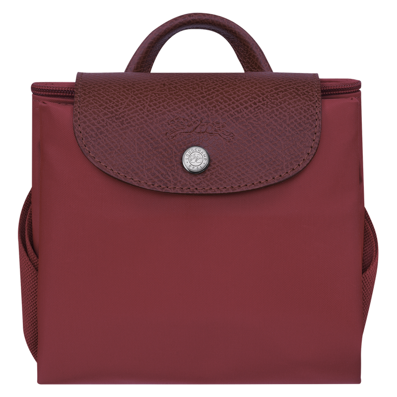 Le Pliage Green M Backpack