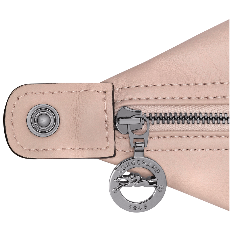Le Pliage Xtra XS Handbag