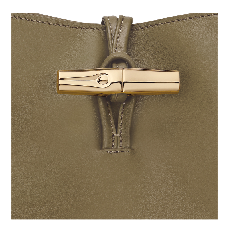 Le Roseau M Hobo bag