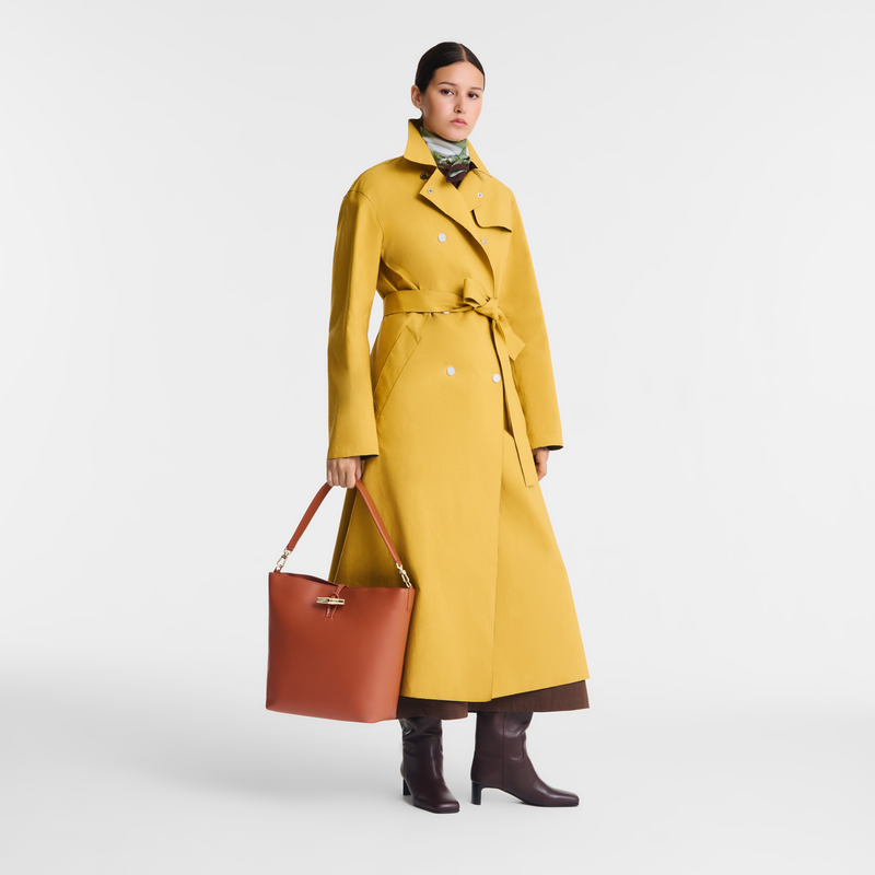 Le Roseau M Hobo bag