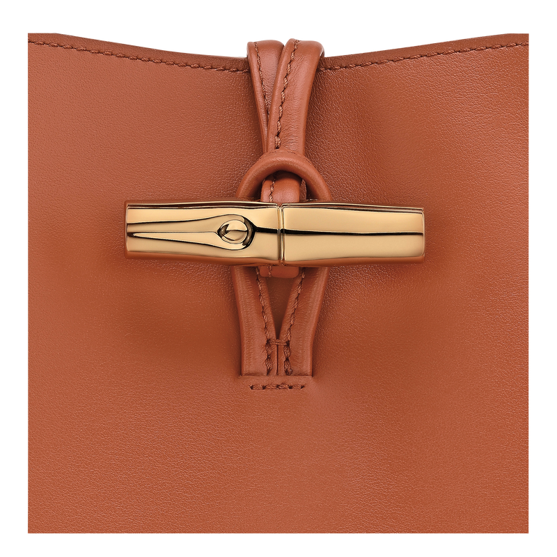 Le Roseau M Hobo bag