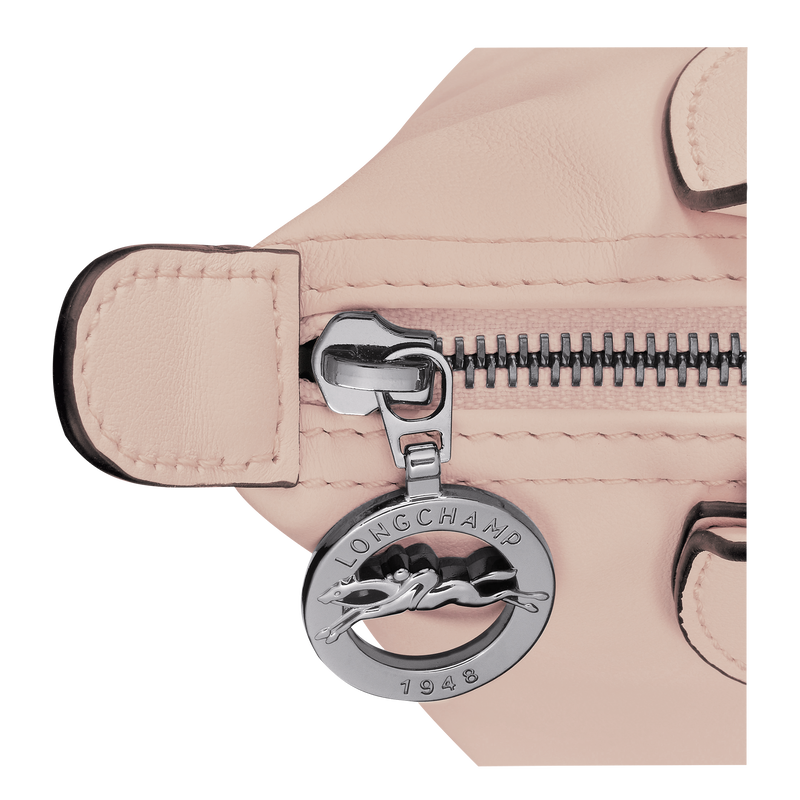 Le Pliage Xtra XS Handbag