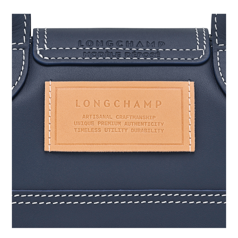 Le Pliage Xtra XS Handbag
