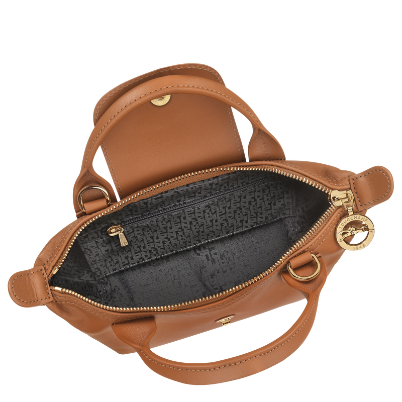Le Pliage Xtra XS Handbag